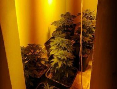 Ηράκλειο: Συνελήθφη 52χρονος για καλλιέργεια υδροπονικής κάνναβης